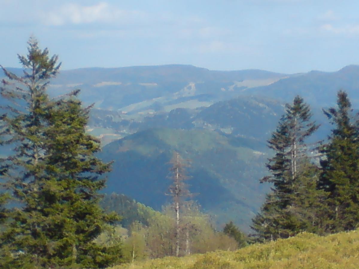 Willa Pod Kasztanami Piwniczna-Zdroj Extérieur photo