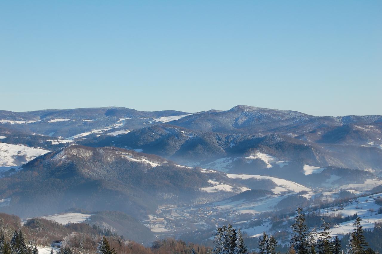 Willa Pod Kasztanami Piwniczna-Zdroj Extérieur photo